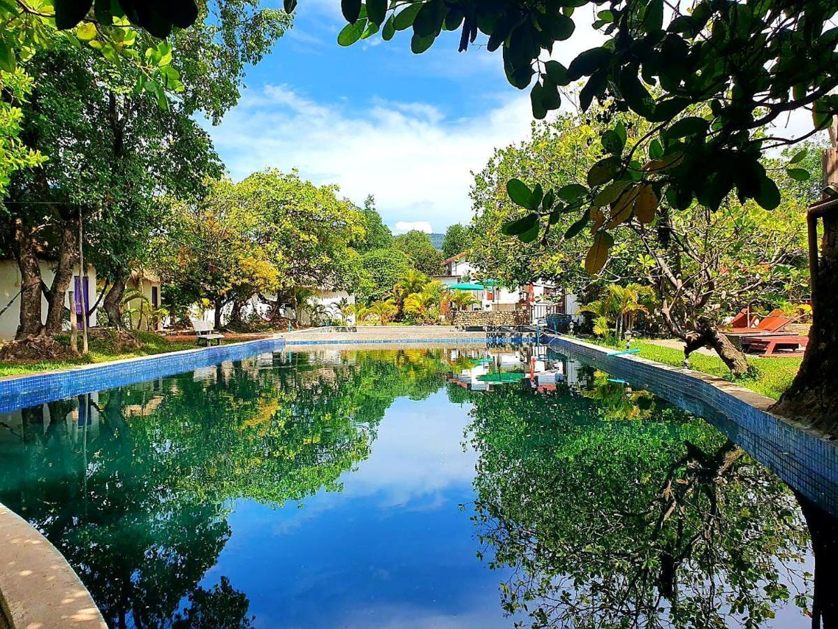 Bohemiaz Resort And Spa Kampot Luaran gambar