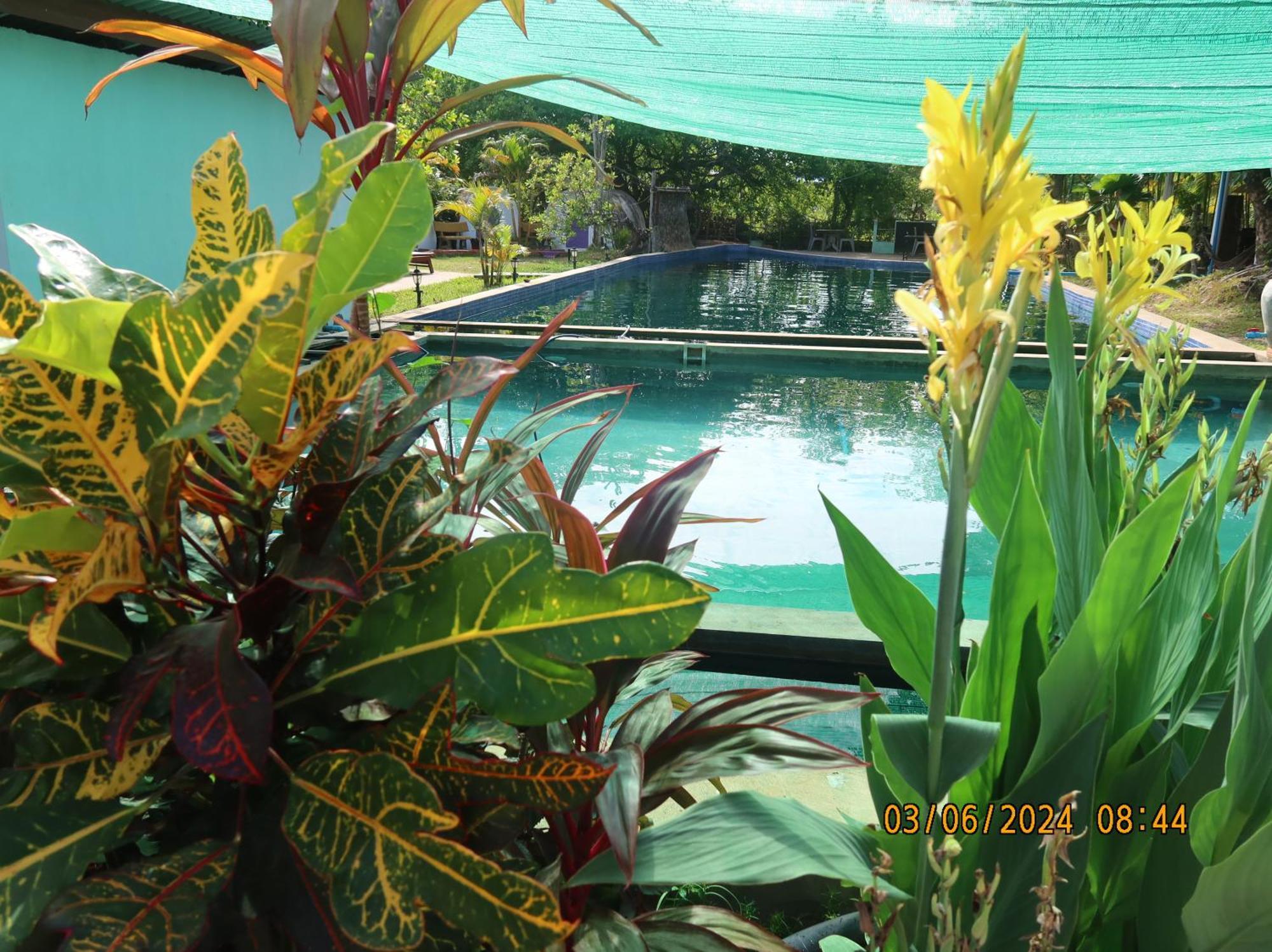 Bohemiaz Resort And Spa Kampot Luaran gambar